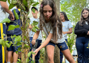 Natureza e Desenvolvimento Pedagógico